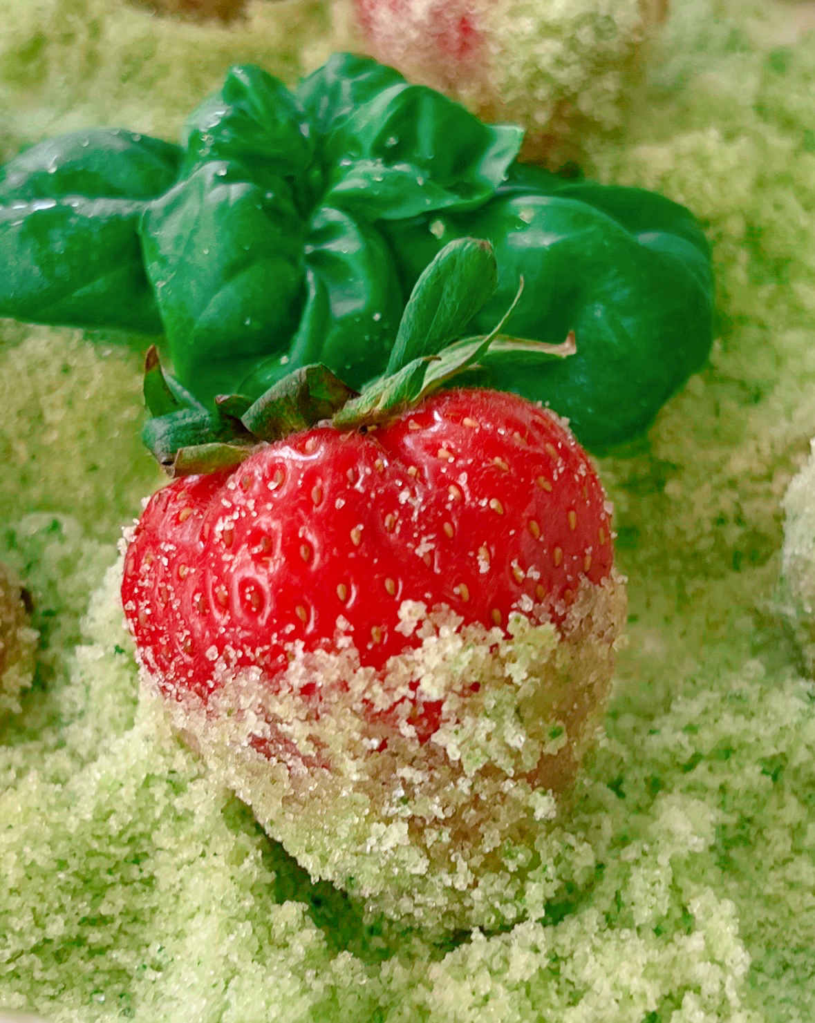 How To Make Sweet Basil Sugar with Strawberries