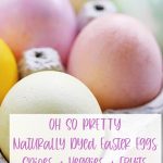 NATURALLY DYED - OH SO PRETTY EASTER EGGS
