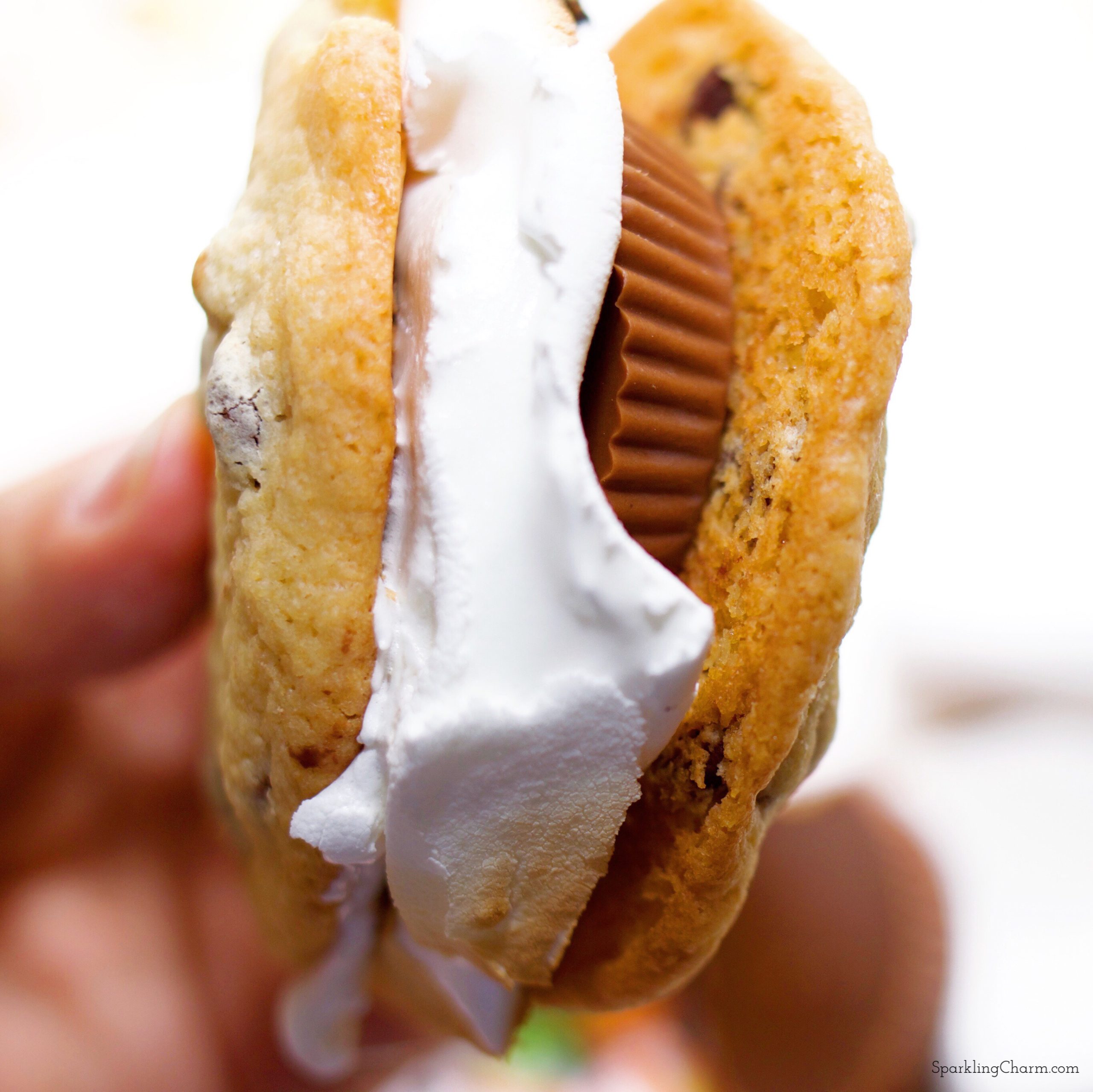 The Best Reese’s Peanut Butter Cup Chocolate Chip Cookie S’mores