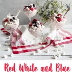Red White and Blue Ambrosia