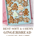 Best Gingerbread Cookie Recipe